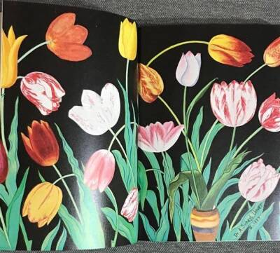 Lalezar-ı Süheyli - Curiosity About Tulips in Our History - 9