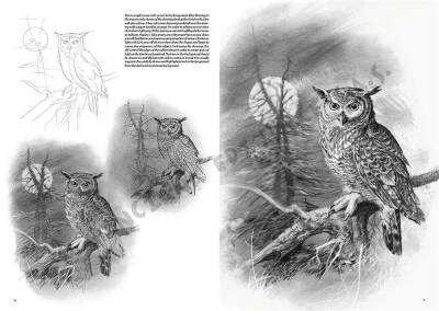 Leonardo Collection Desen Kitabı Birds N: 28 Kuşlar N: 28 - 1