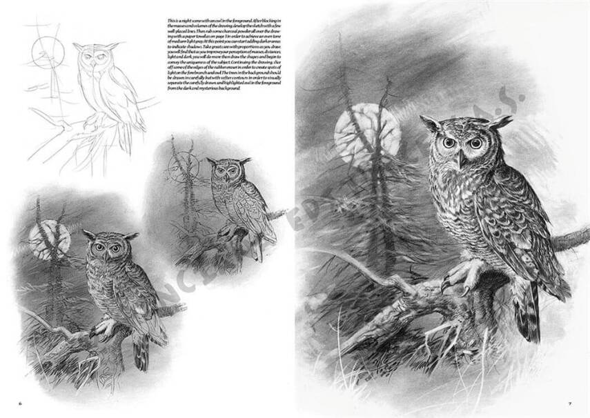 Leonardo Collection Desen Kitabı Birds N: 28 Kuşlar N: 28 - 1