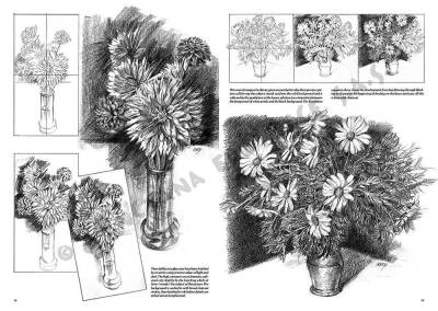 Leonardo Collection Desen Kitabı Flowers N: 21 Çicekler N: 21 - 4