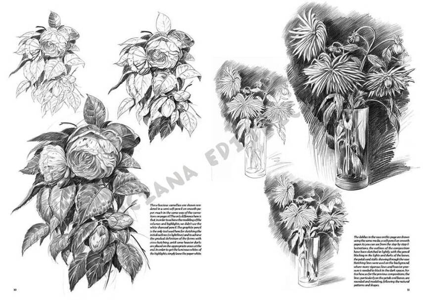 Leonardo Collection Desen Kitabı Flowers N: 22 Çicekler N: 22 - 5