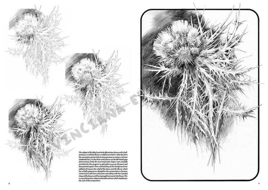 Leonardo Collection Desen Kitabı Flowers N: 23 Çicekler N: 23 - 3