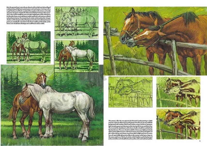 Leonardo Collection Desen Kitabı Horses No: 6 Atlar N: 6 - 2