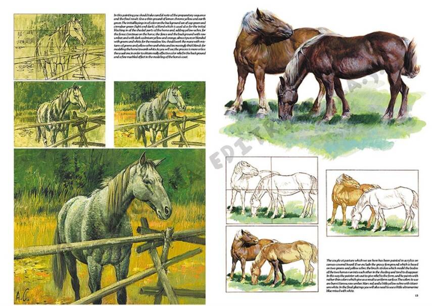 Leonardo Collection Desen Kitabı Horses No: 6 Atlar N: 6 - 4