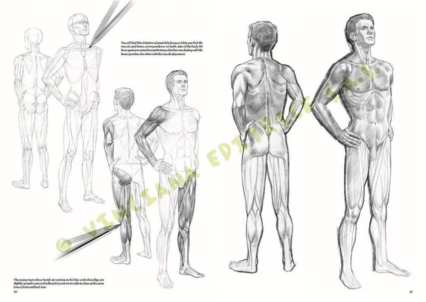 Leonardo Collection Desen Kitabı Nudes No: 10 Çıplak Çizim N: 10 - 1