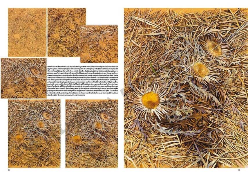 Leonardo Collection Desen Kitabı Seasons N: 47 Mevsimler N: 47 - 2