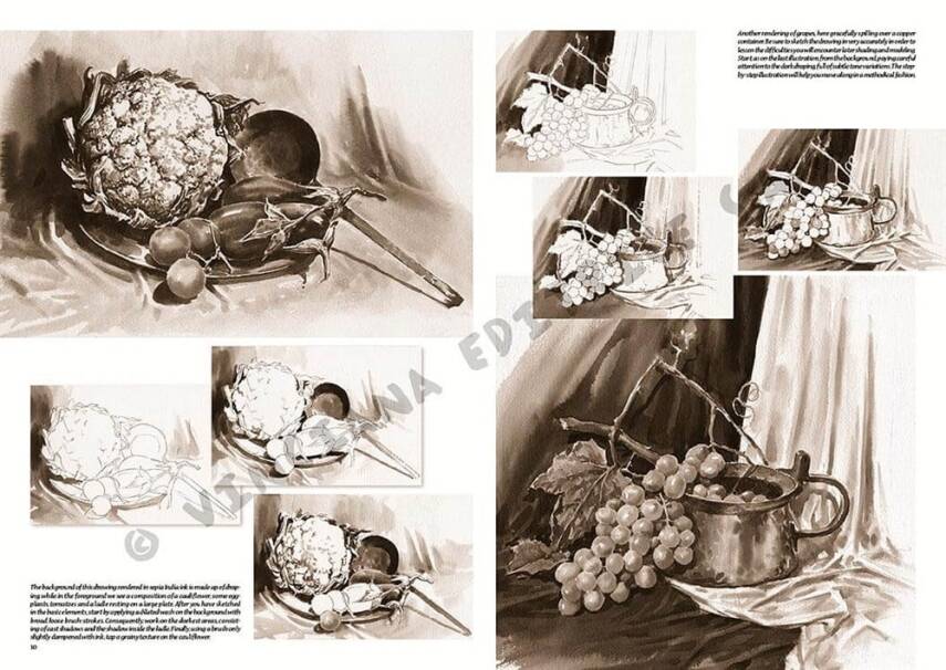 Leonardo Collection Desen Kitabı Stillife N: 26 Natürmort N: 26 - 4
