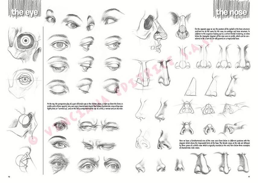 Leonardo Collection Desen Kitabı The Fundamentals Of Drawing N: 3 Temel Çizim Kuralları N: 3 - 3