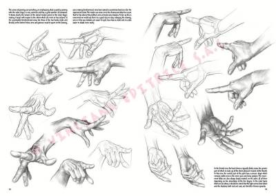 Leonardo Collection Desen Kitabı The Fundamentals Of Drawing N: 3 Temel Çizim Kuralları N: 3 - 4