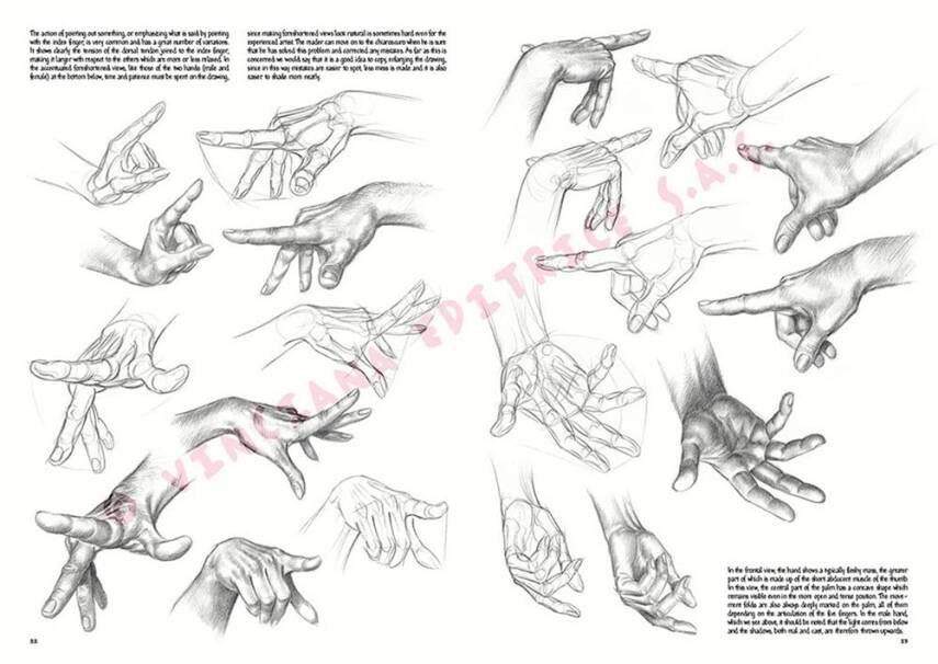 Leonardo Collection Desen Kitabı The Fundamentals Of Drawing N: 3 Temel Çizim Kuralları N: 3 - 4