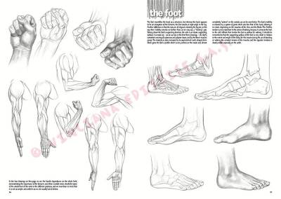 Leonardo Collection Desen Kitabı The Fundamentals Of Drawing N: 3 Temel Çizim Kuralları N: 3 - 5