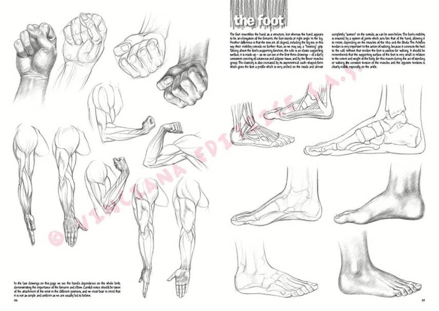 Leonardo Collection Desen Kitabı The Fundamentals Of Drawing N: 3 Temel Çizim Kuralları N: 3 - 5