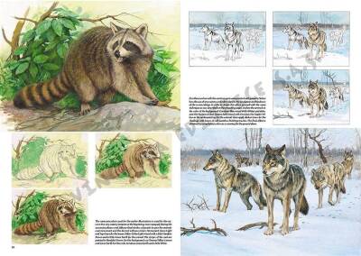 Leonardo Collection Drawing Book Animals N: 12 Animals N: 12 - 3