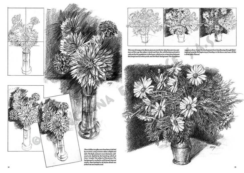 Leonardo Collection Drawing Book Flowers N: 21 Flowers N: 21 - 1