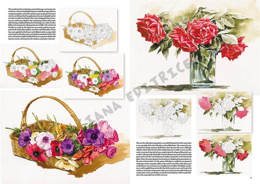 Leonardo Collection Drawing Book Flowers N: 23 Flowers N: 23 - 1