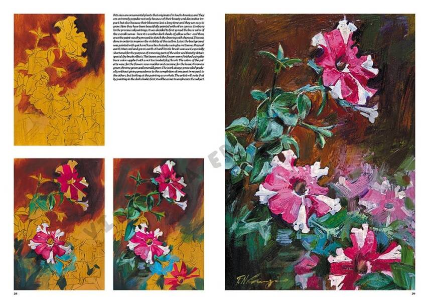 Leonardo Collection Drawing Book Flowers N: 23 Flowers N: 23 - 4