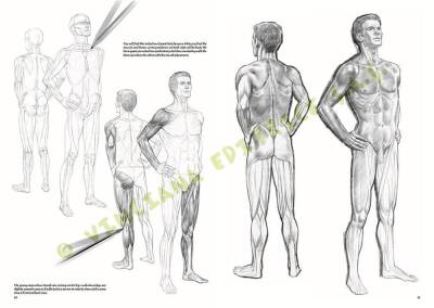 Leonardo Collection Drawing Book Nudes No: 10 Nude Drawing N: 10 - 1