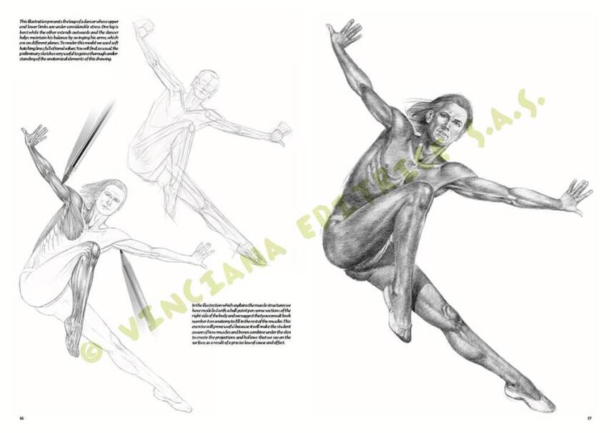 Leonardo Collection Drawing Book Nudes No: 10 Nude Drawing N: 10 - 2