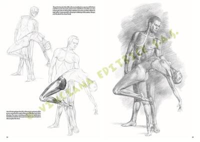 Leonardo Collection Drawing Book Nudes No: 10 Nude Drawing N: 10 - 3