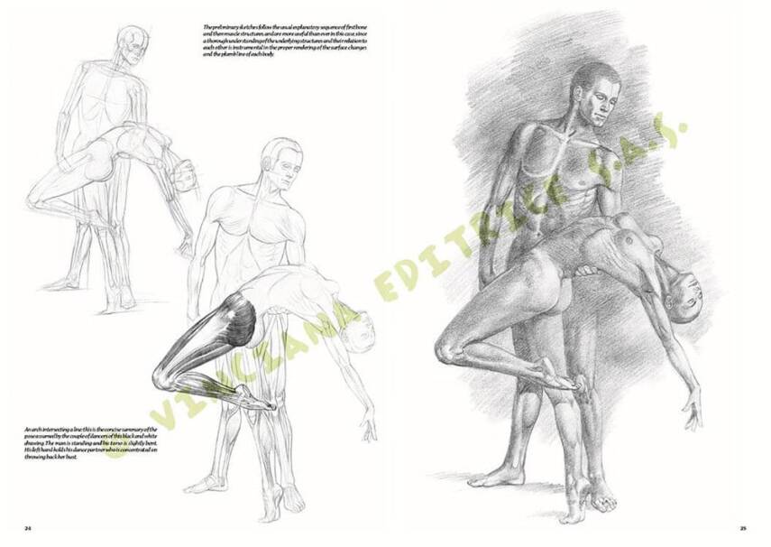 Leonardo Collection Drawing Book Nudes No: 10 Nude Drawing N: 10 - 3