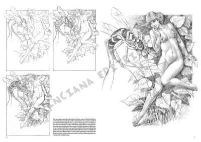 Leonardo Collection Drawing Book Nudes No: 7 Nude Drawing N: 7 - 4