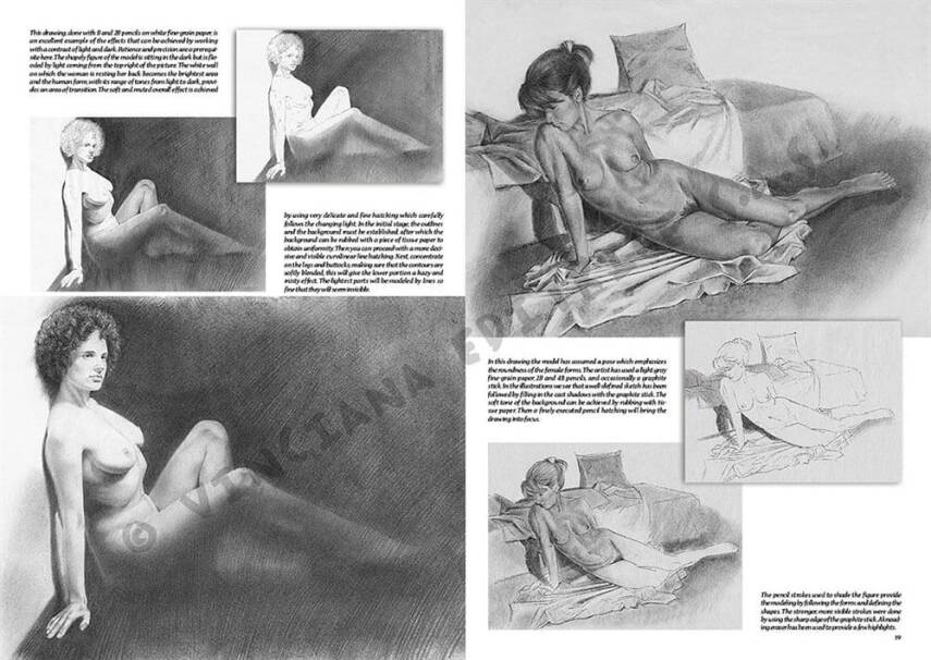 Leonardo Collection Drawing Book Nudes No: 9 Nude Drawing N: 9 - 2