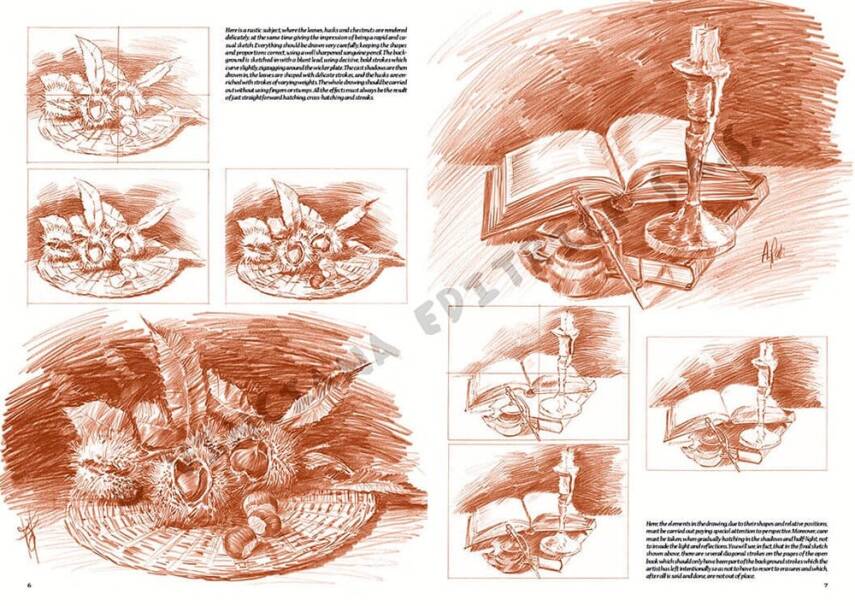 Leonardo Collection Drawing Book Stilife N: 25 Still Life N: 25 - 2