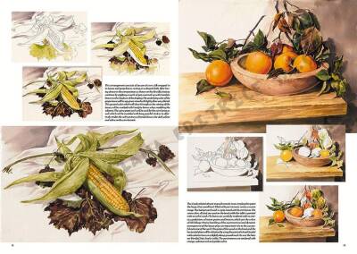 Leonardo Collection Drawing Book Stilife N: 26 Still Life N: 26 - 3