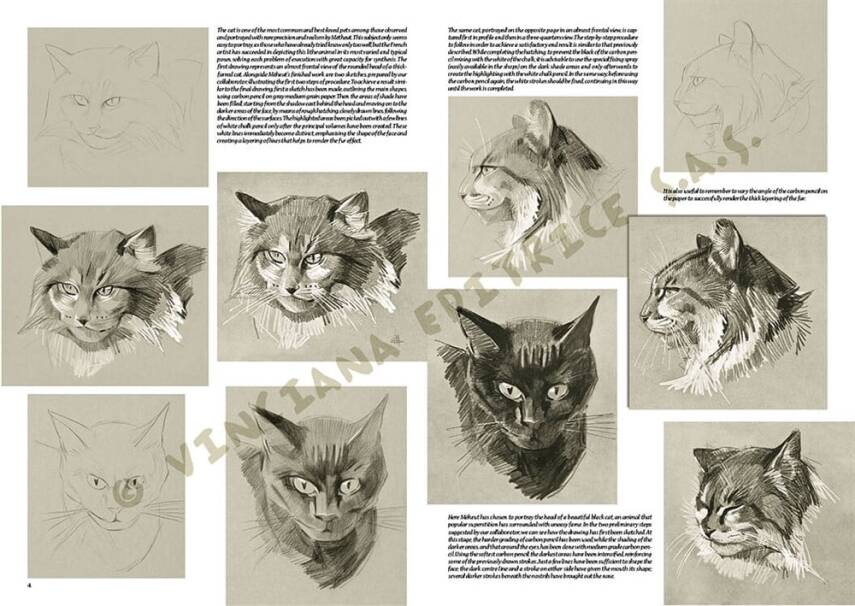 Leonardo Collection Drawing Book The Animals Of Mathurin Meheut N: 36 - 3