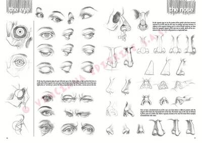 Leonardo Collection Drawing Book The Fundamentals Of Drawing N: 3 Basic Drawing Rules N: 3 - 3