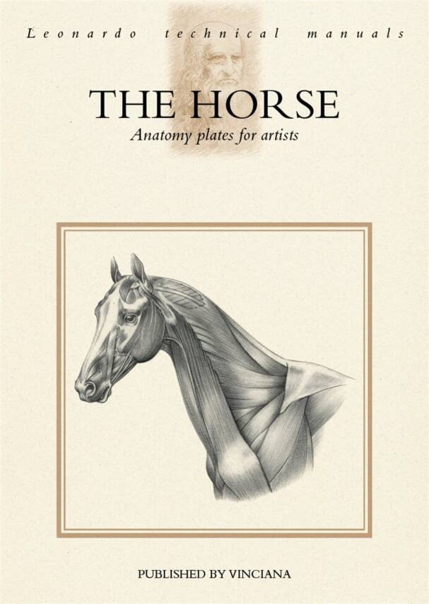 Leonardo Collection The Horse-Anatomy Plates For Artısts - 1