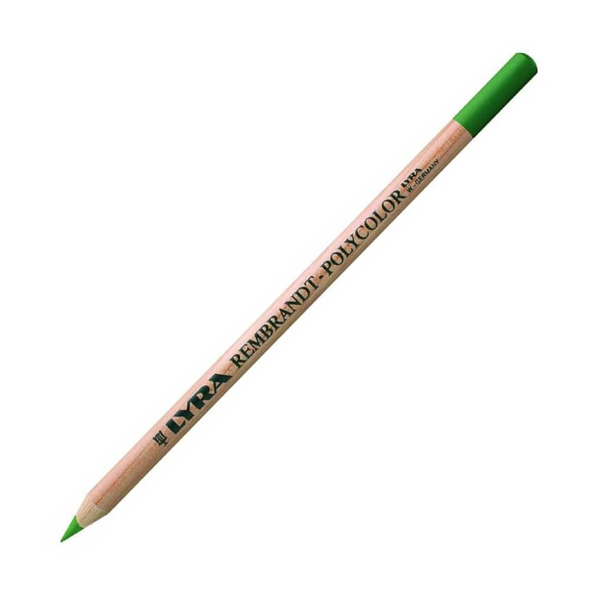 LYRA Rembrandt Polycolor Color Pencil 074 Cedar Green - 1