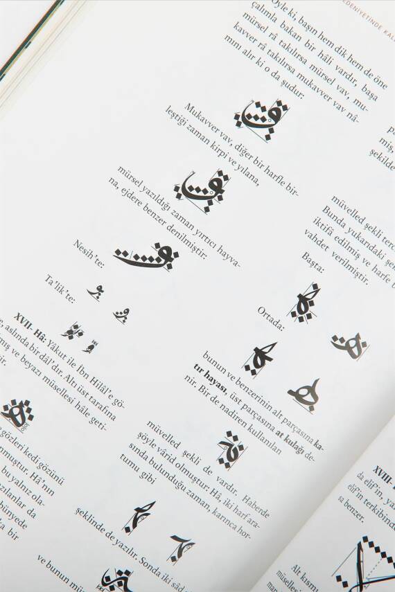 Medeniyet Aleminde Yazı ve İslam Medeniyetinde Kalem Güzeli 2 Cilt - 3