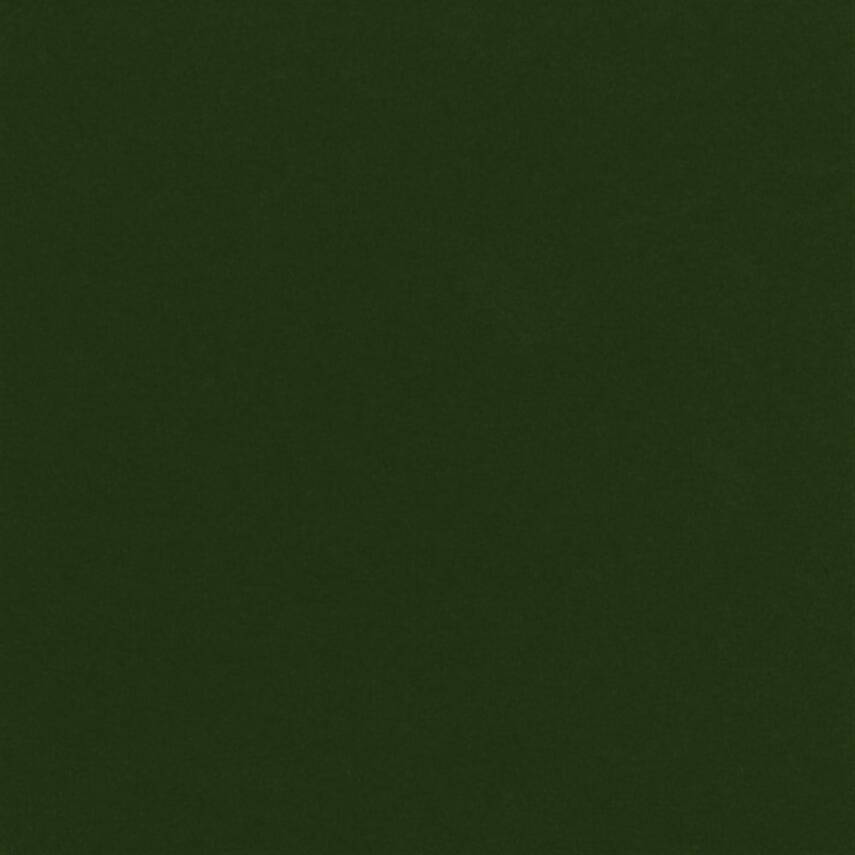 Moorman Passepartout Cardboard Dark Green A3 1.4 mm 5460 - 2