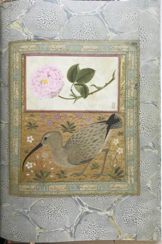 Natural Flowers in Ottoman Book Art - Yıldız Demiriz - 5