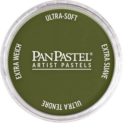 PanPastel Artist's Pastel Boya 220.1 Hansa Yellow Extra Dark