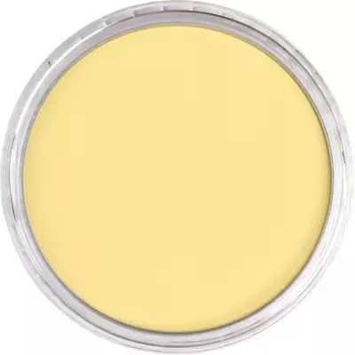 PanPastel Artist's Pastel Boya 250.8 Diarylide Yellow Tint (1)