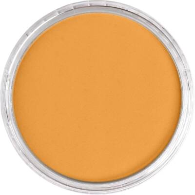 PanPastel Artist's Pastel Boya 270.5 Yellow Oxide (1)