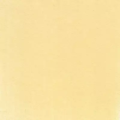 PanPastel Artist's Pastel Boya 280.8 Orange Tint