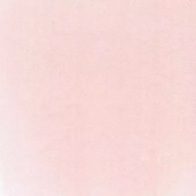 PanPastel Artist's Pastel Boya 340.8 Permanent Red Tint