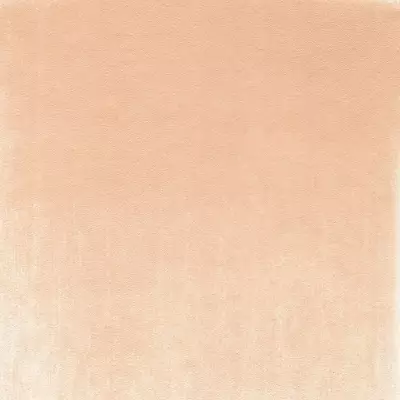 PanPastel Artist's Pastel Boya 380.8 Red Iron Oxide Tint