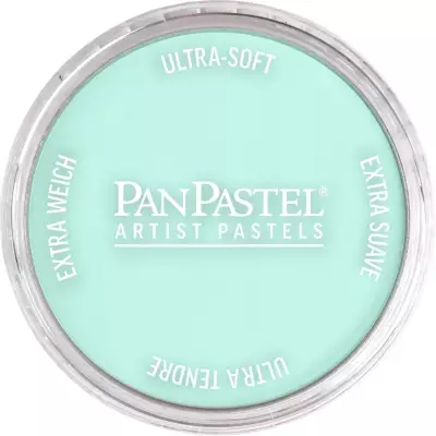 PanPastel Artist's Pastel Boya 620.8 Phthalo Green Tint