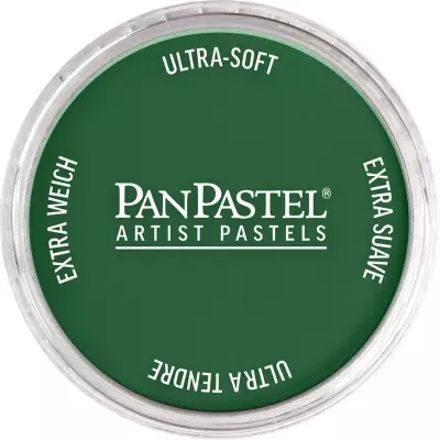 PanPastel Artist's Pastel Boya 640.1 Permanent Green Extra Dark