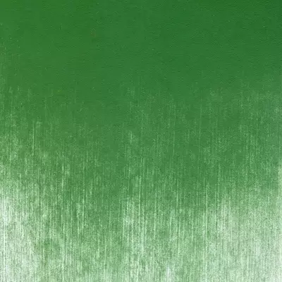 PanPastel Artist's Pastel Boya 640.3 Permanent Green Shade