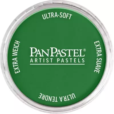 PanPastel Artist's Pastel Boya 640.3 Permanent Green Shade