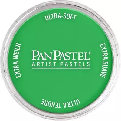 PanPastel Artist's Pastel Boya 640.5 Permanent Green