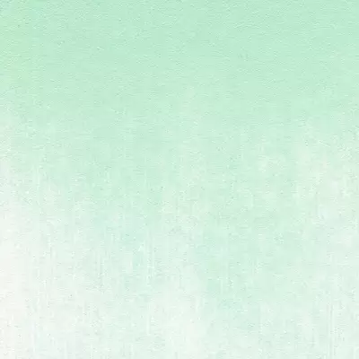 PanPastel Artist's Pastel Boya 640.8 Permanent Green Tint