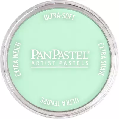 PanPastel Artist's Pastel Boya 640.8 Permanent Green Tint