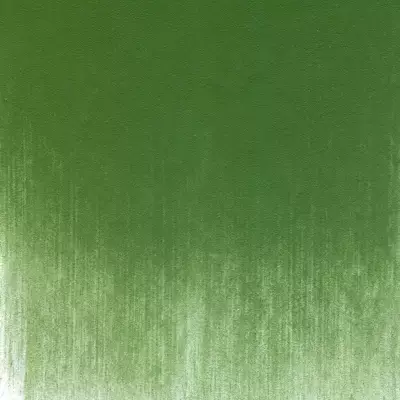 PanPastel Artist's Pastel Boya 660.5 Chromium Oxide Green