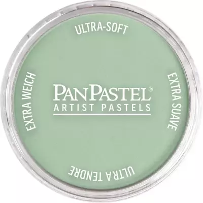 PanPastel Artist's Pastel Boya 660.8 Chromium Oxide Green Tint